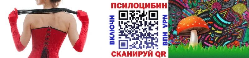 даркнет формула  купить наркотик  Козельск  Псилоцибиновые грибы Psilocybe 